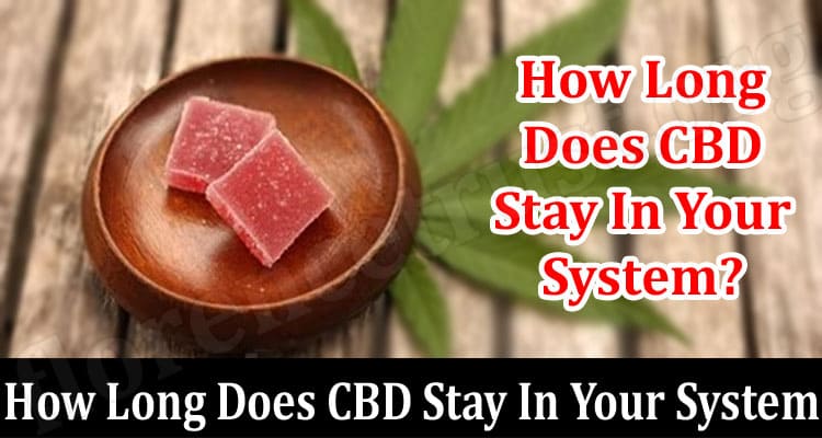 How Long Does CBD Stay In Your System?