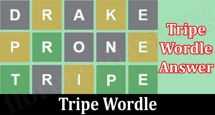 Gaming Tips Tripe Wordle