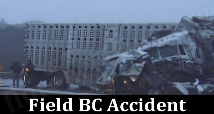 LATEST NEWS Field BC Accident