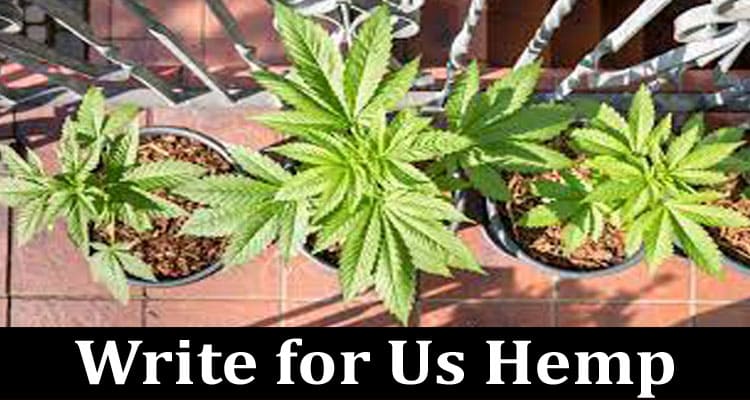 About General Information Write for Us Hemp