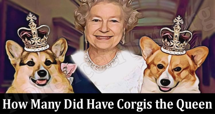 Latest News How Many Did Have Corgis the Queen