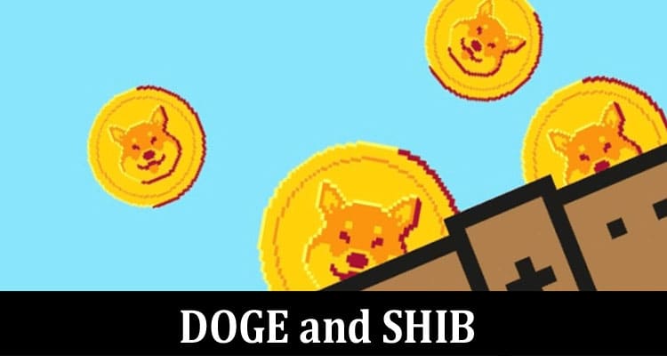 Move Over, DOGE and SHIB – TAMA is Here!