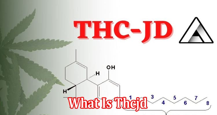 What Is Thcjd- All Complete Details!