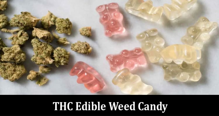 8 Reasons to Experiment With THC Edible Weed Candy