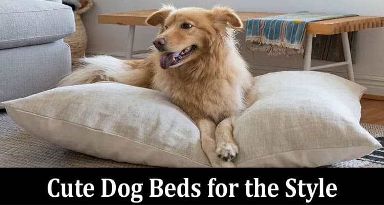 10 Cute Dog Beds for the Style-Aware Dog – All Details