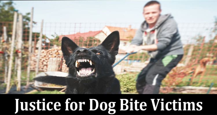 Complete Information About Justice for Dog Bite Victims - Attorneys