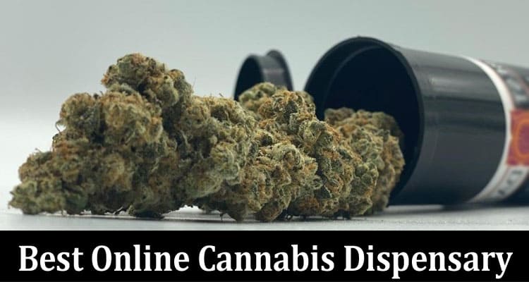 Complete Information About Finding the Best Online Cannabis Dispensary - 5 Tips