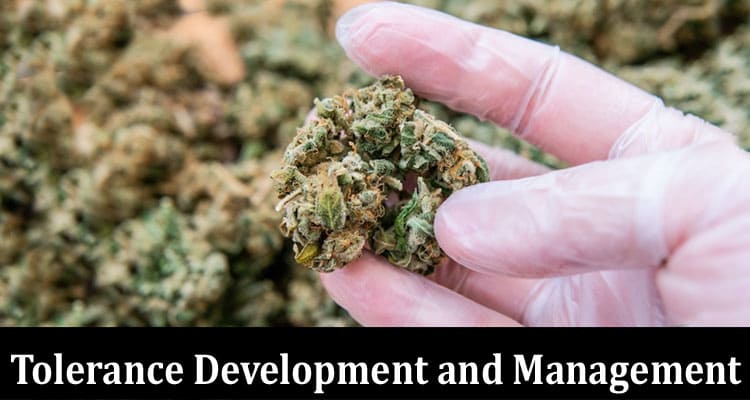 Complete Information About THC-JD - Impact on Tolerance Development and Management