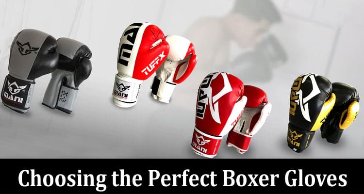 10 Tips for Choosing the Perfect Boxer Gloves