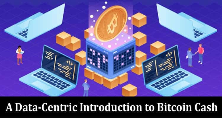 Complete A Data-Centric Introduction to Bitcoin Cash