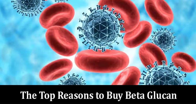 Enhance Your Immunity: The Top Reasons to Buy Beta Glucan